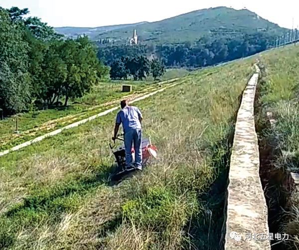 瓦爾特·御虹”WX-800型履帶自行走式堤防割草機 瓦爾特·御虹”WX-800型履帶自行走式堤防割草機